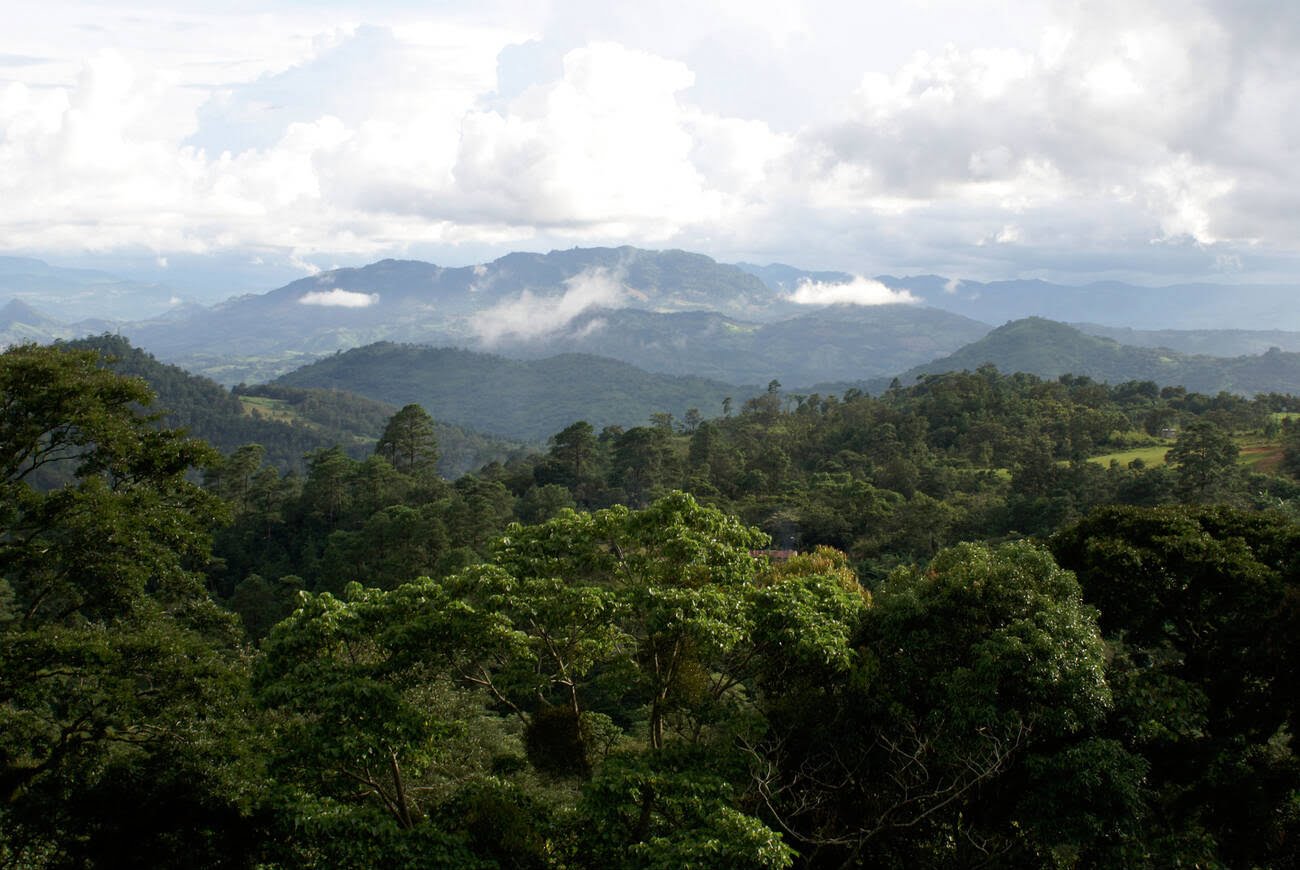 Exploring Bosawás Biosphere Reserve: Nicaragua’s Natural Treasure